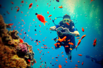 Recife de corali și snorkeling în Marea Roșie, Egipt